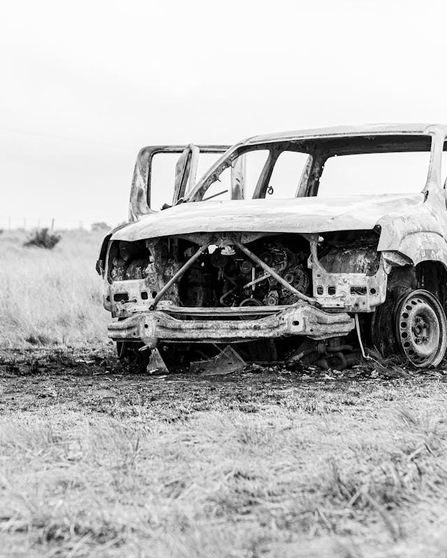 pexels-photo-33290873